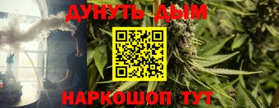 шишки Будённовск