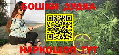 шишки Будённовск