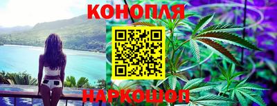 шишки Будённовск