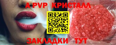 шишки Будённовск