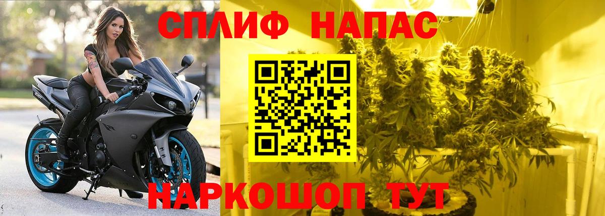 Шишки марихуана ГИДРОПОН Ирбит