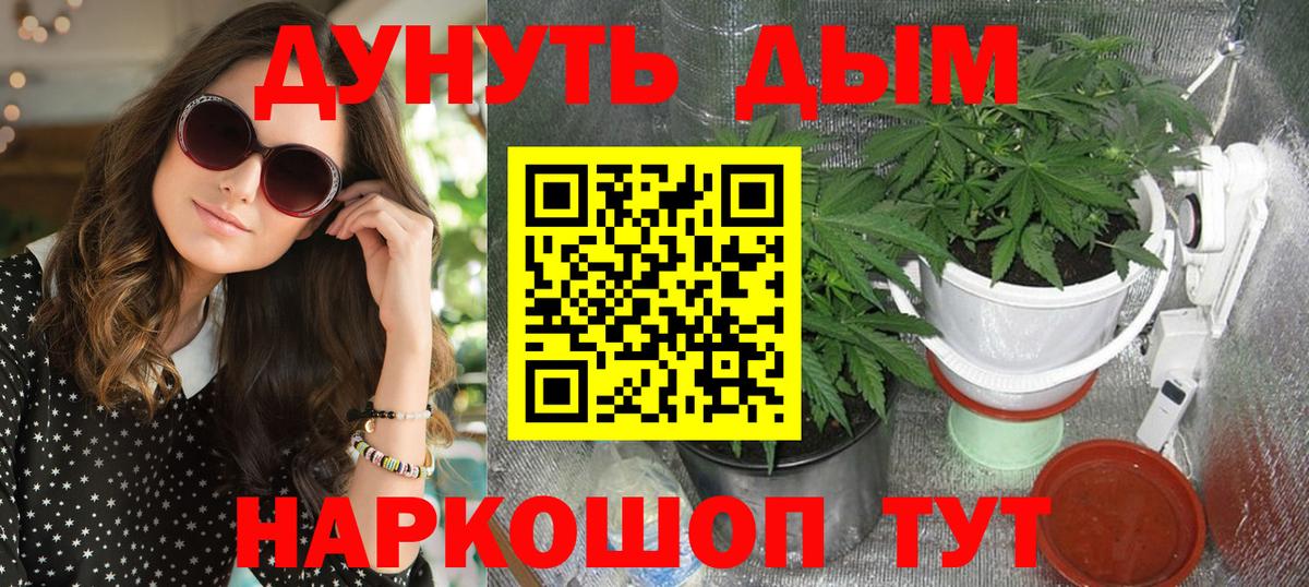 Шишки марихуана планчик  Вход с VPN  Каннабис марихуана  Бошки марихуана марихуана  Ирбит 